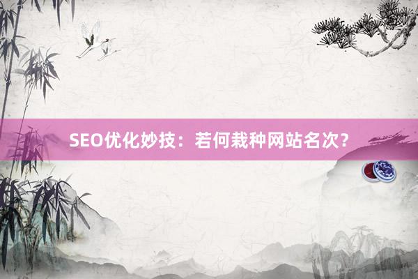 SEO优化妙技：若何栽种网站名次？