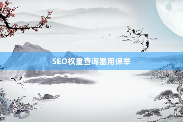 SEO权重查询器用保举